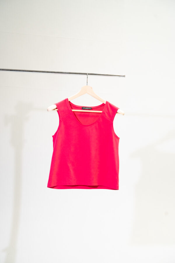 Camelia - immagine 8