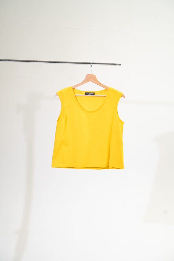 Camelia - immagine 5