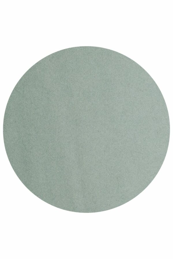 VENUS - immagine 12